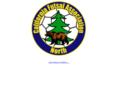 californiafutsal.org