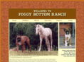 foggybottomranch.net