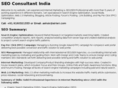 seo-consultant-india.com
