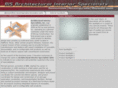 aispecialists.com