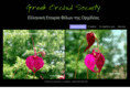 greekorchidsociety.org