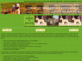 scwtpeds.com