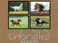 unbridledimagery.com