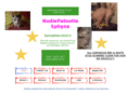 vegassphynx.com