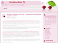 benalmadena-tv.com