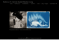clarkandlong.com