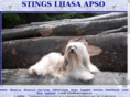 lhasa-apso.se