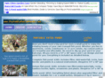 portablepatioponds.com