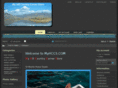 stmartinyachts.com