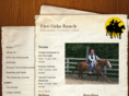 westernridingireland.com