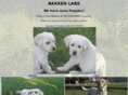 bakkenlabs.com