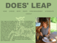 doesleap.com