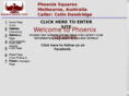phoenixsquares.net