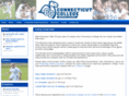 conncollegesoccercamps.com