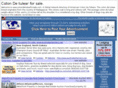 cotondetulearforsale.com