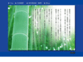 msi-mm.com