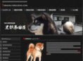 shibainu-breeder.com