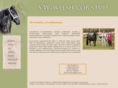 sw-welsh-cob.net