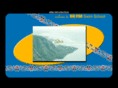 bigfishswimschool.com