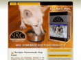 recipesforhomemadedogfoods.com