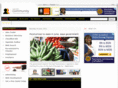 ugaserve.net