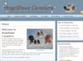 angelpawz.com