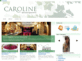 carolineservicedapartmentsblog.com