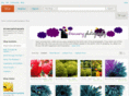 dreameryphotography.com
