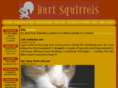 hurtsquirrels.com