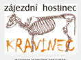 kravinec.com