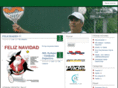 luisbalbuena.net