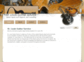 stlguitarservice.com