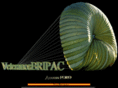 vetbripac.es