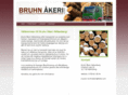 xn--bruhnkeri-92a.com