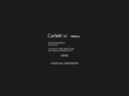 carlettisrl.com