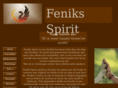 feniksspirit.com