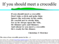 ifyoushouldmeetacrocodile.com