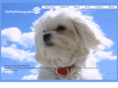 barkgeneration.com