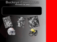 buckeyecountdown.com