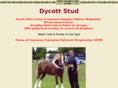 dycott.com