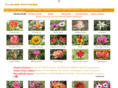 flowerspictures.org