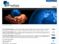 fourpointnetworking.com