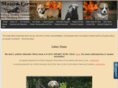 masonsfarms.com