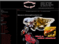mcdonoughpowersports.com