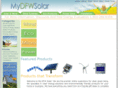 mydfwsolar.com