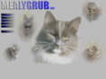 mealygrub.com