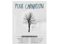pixiecarnation.com