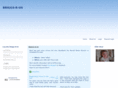briggsrus.com