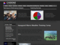 cassonz.com