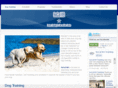liveoffleash.com